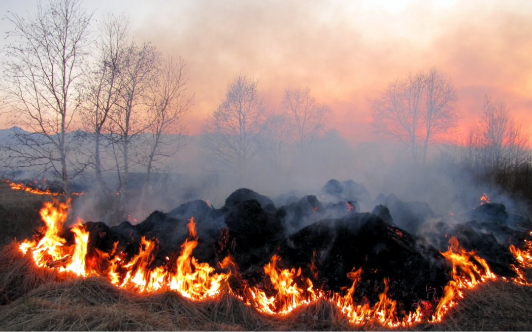 South African media treat fire as foe – its ecosystem benefits get lost in the blaze