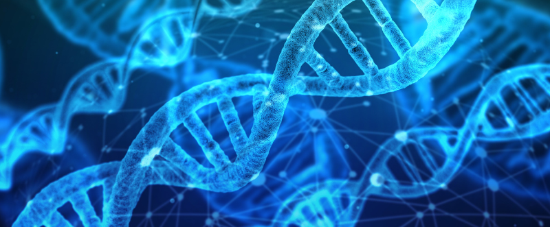 Media Workshop: Forensic DNA and DNA Profiling for African journalists